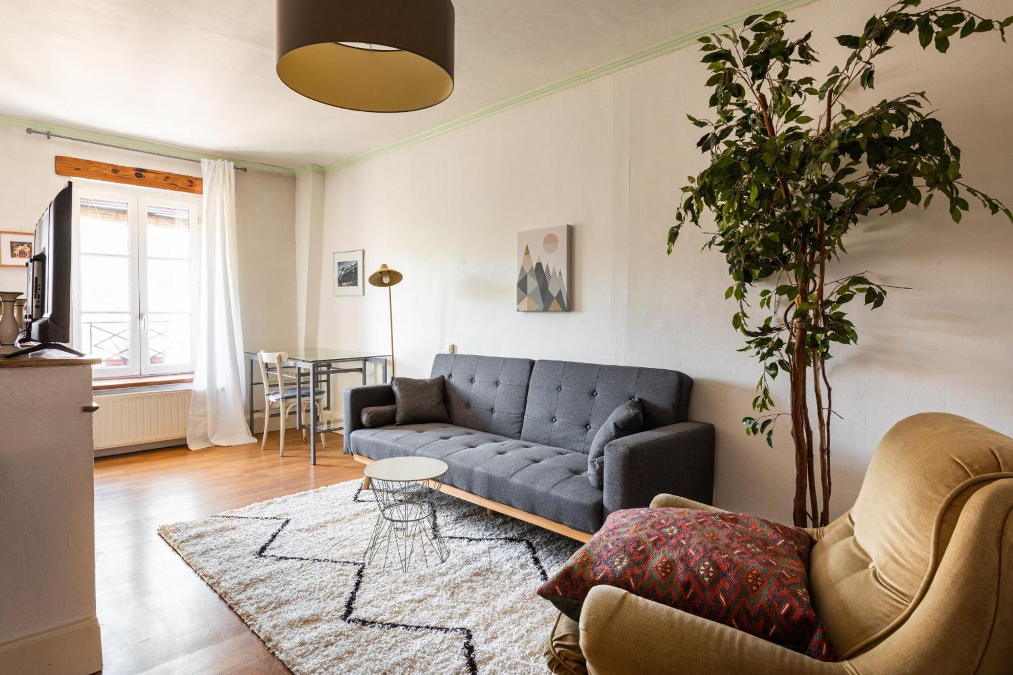 Appartamento Dify Adelaide Perrin - Ainay Lione Esterno foto